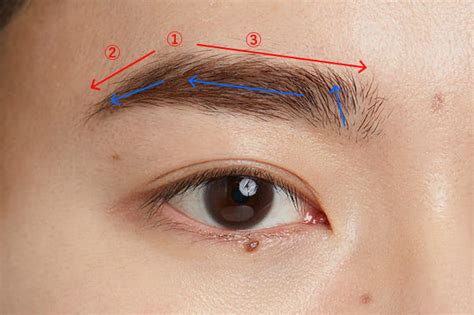 眉毛 男|男性の眉毛の整え方｜失敗しない理想的なメンズ眉を 